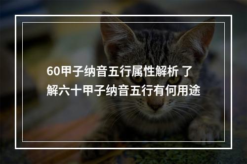 60甲子纳音五行属性解析 了解六十甲子纳音五行有何用途