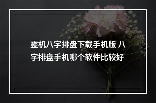 靈机八字排盘下载手机版 八字排盘手机哪个软件比较好