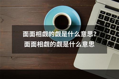 面面相觑的觑是什么意思？ 面面相觑的觑是什么意思