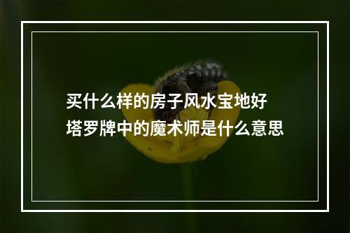 买什么样的房子风水宝地好 塔罗牌中的魔术师是什么意思