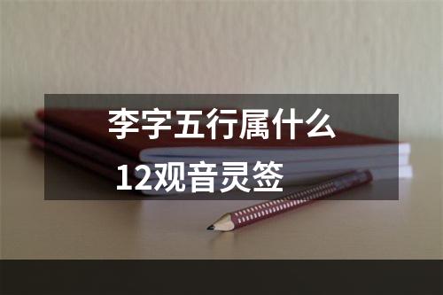 李字五行属什么 12观音灵签