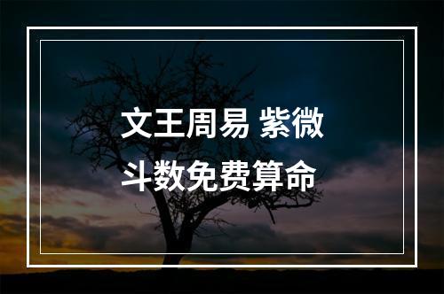 文王周易 紫微斗数免费算命