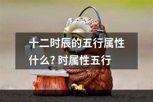 十二时辰的五行属性什么? 时属性五行