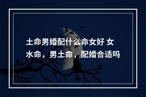 土命男婚配什么命女好 女水命，男土命，配婚合适吗