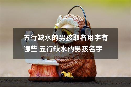 五行缺水的男孩取名用字有哪些 五行缺水的男孩名字