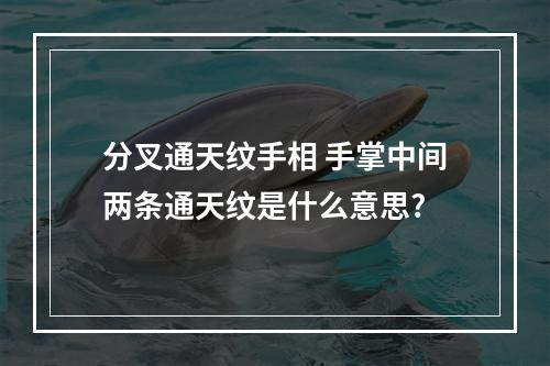 分叉通天纹手相 手掌中间两条通天纹是什么意思?