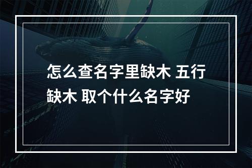 怎么查名字里缺木 五行缺木 取个什么名字好