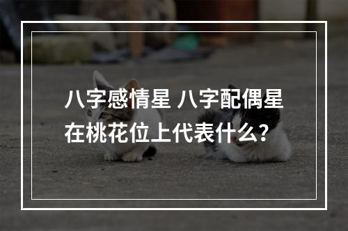 八字感情星 八字配偶星在桃花位上代表什么？