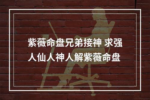 紫薇命盘兄弟接神 求强人仙人神人解紫薇命盘