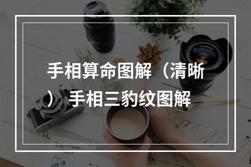 手相算命图解（清晰） 手相三豹纹图解
