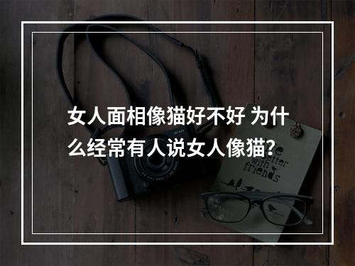 女人面相像猫好不好 为什么经常有人说女人像猫？