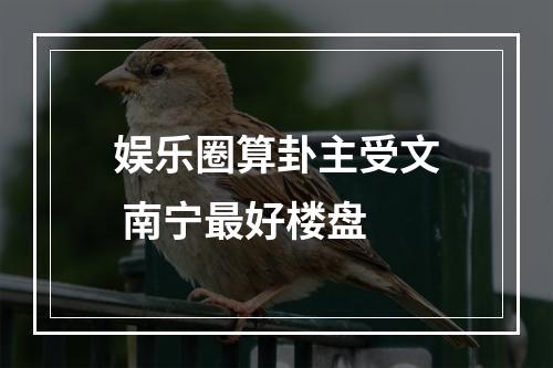 娱乐圈算卦主受文 南宁最好楼盘