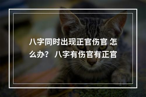 八字同时出现正官伤官 怎么办？ 八字有伤官有正官