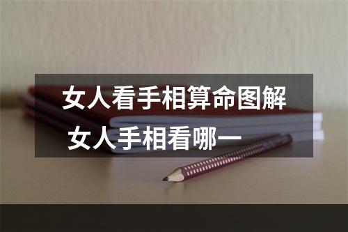 女人看手相算命图解 女人手相看哪一