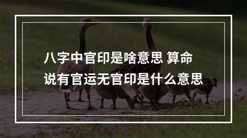 八字中官印是啥意思 算命说有官运无官印是什么意思