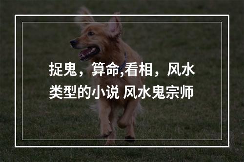 捉鬼，算命,看相，风水类型的小说 风水鬼宗师