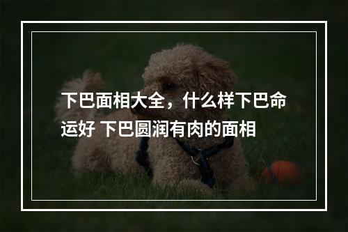 下巴面相大全，什么样下巴命运好 下巴圆润有肉的面相