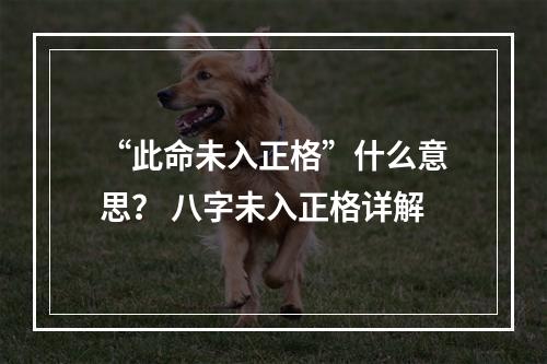“此命未入正格”什么意思？ 八字未入正格详解