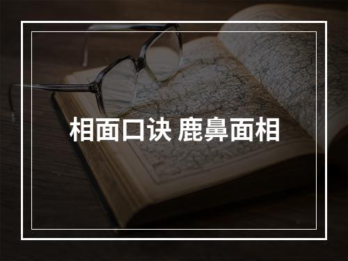 相面口诀 鹿鼻面相