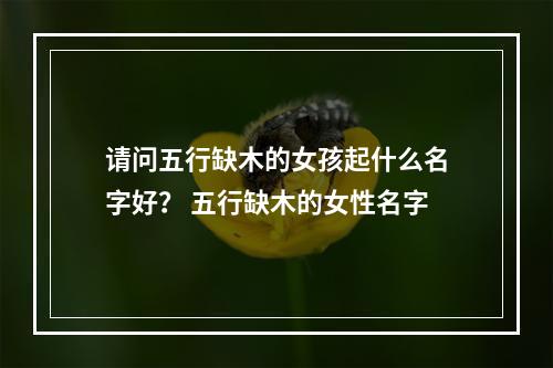 请问五行缺木的女孩起什么名字好？ 五行缺木的女性名字