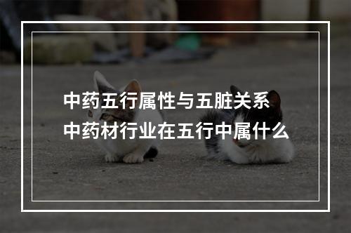 中药五行属性与五脏关系 中药材行业在五行中属什么