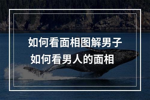如何看面相图解男子 如何看男人的面相