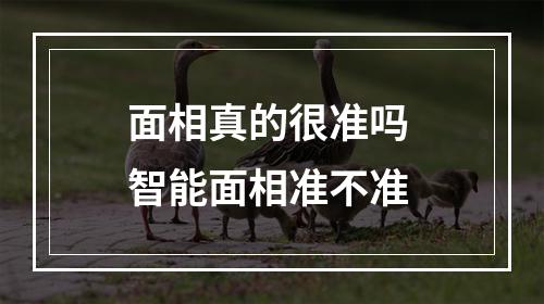 面相真的很准吗 智能面相准不准