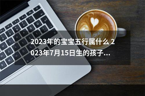 2023年的宝宝五行属什么 2023年7月15日生的孩子五行属什么