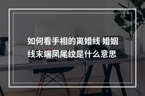 如何看手相的离婚线 婚姻线末端凤尾纹是什么意思