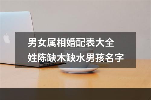 男女属相婚配表大全 姓陈缺木缺水男孩名字