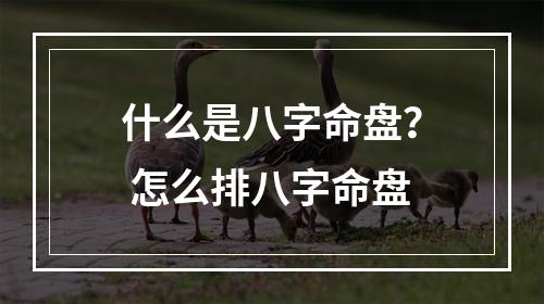 什么是八字命盘？ 怎么排八字命盘