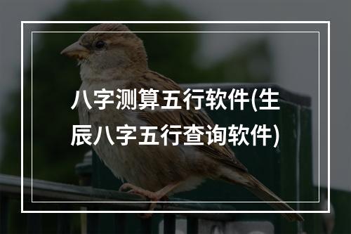 八字测算五行软件(生辰八字五行查询软件)
