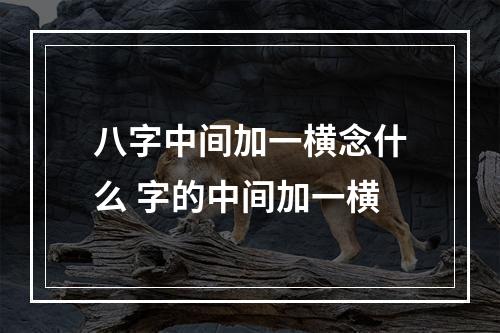 八字中间加一横念什么 字的中间加一横