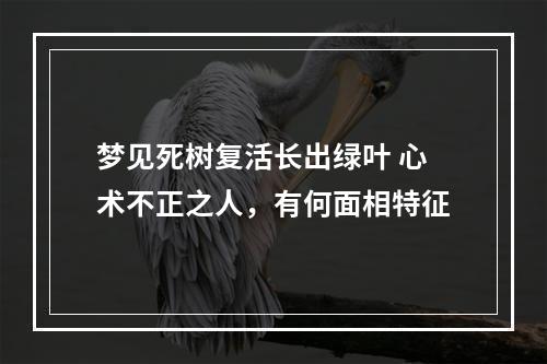 梦见死树复活长出绿叶 心术不正之人，有何面相特征