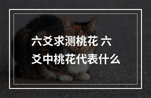 六爻求测桃花 六爻中桃花代表什么