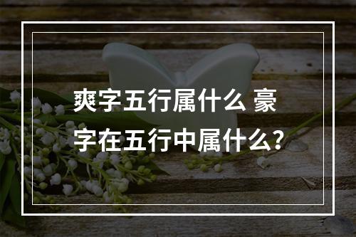 爽字五行属什么 豪字在五行中属什么？