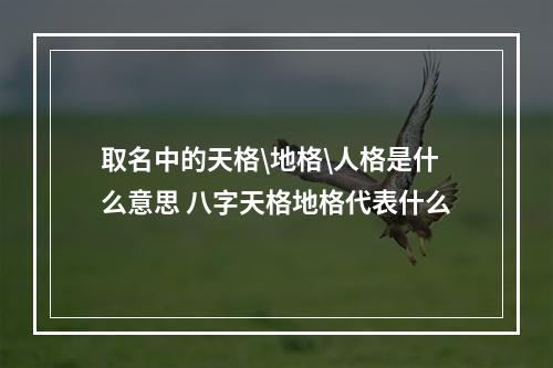 取名中的天格\地格\人格是什么意思 八字天格地格代表什么