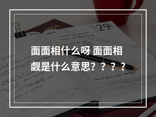 面面相什么呀 面面相觑是什么意思？？？？