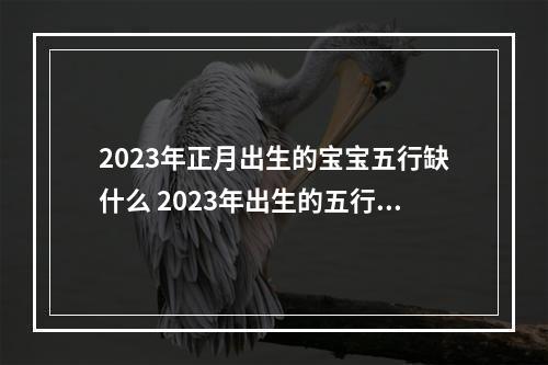 2023年正月出生的宝宝五行缺什么 2023年出生的五行缺什么