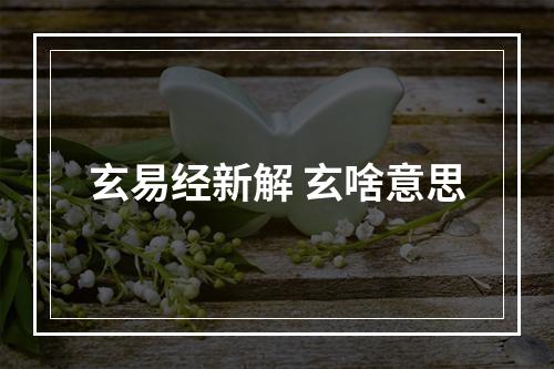 玄易经新解 玄啥意思