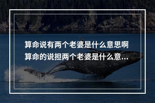 算命说有两个老婆是什么意思啊 算命的说担两个老婆是什么意思？