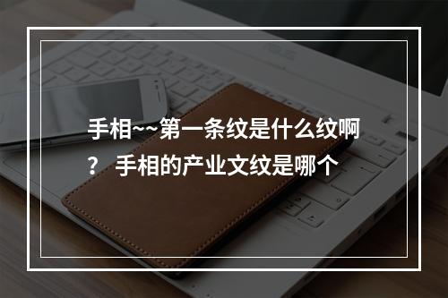 手相~~第一条纹是什么纹啊？ 手相的产业文纹是哪个
