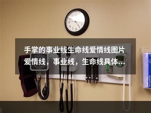 手掌的事业线生命线爱情线图片 爱情线，事业线，生命线具体怎么看？