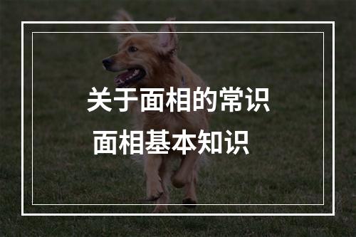 关于面相的常识 面相基本知识