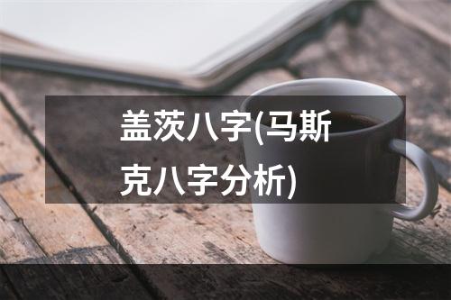 盖茨八字(马斯克八字分析)