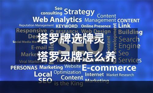 塔罗牌选牌灵 塔罗灵牌怎么养