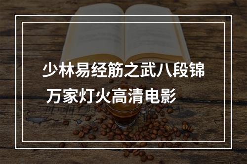 少林易经筋之武八段锦 万家灯火高清电影