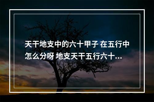 天干地支中的六十甲子 在五行中怎么分呀 地支天干五行六十甲子生肖属相