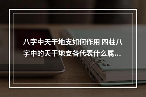 八字中天干地支如何作用 四柱八字中的天干地支各代表什么属性？