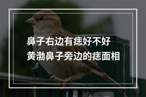 鼻子右边有痣好不好 黄渤鼻子旁边的痣面相